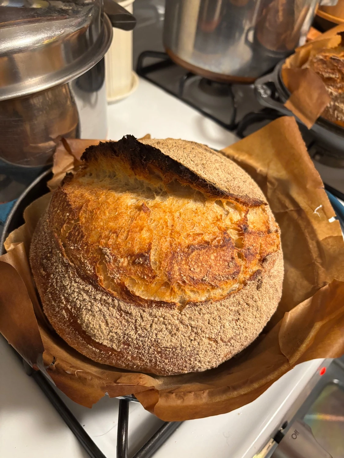 A very good looking (if I do say so myself) loaf of sourdough bread